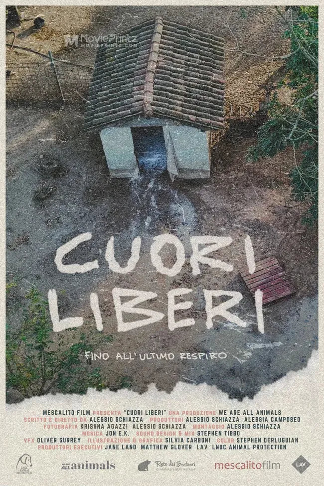 Cuori liberi Poster