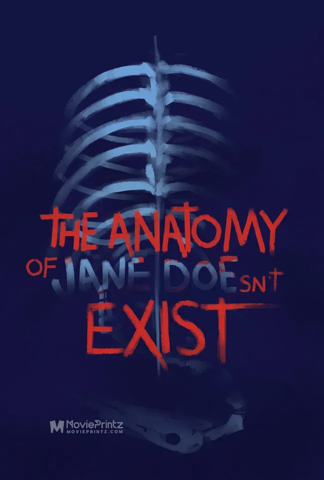 The Anatomy of Jane Doesn't Exist Poster