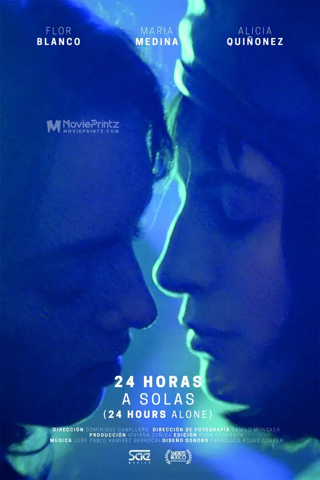 24 horas a solas Poster