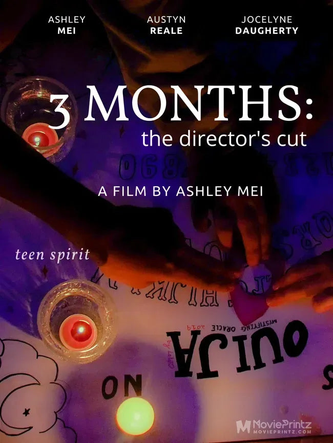 3 Months: The Director's Cut Poster