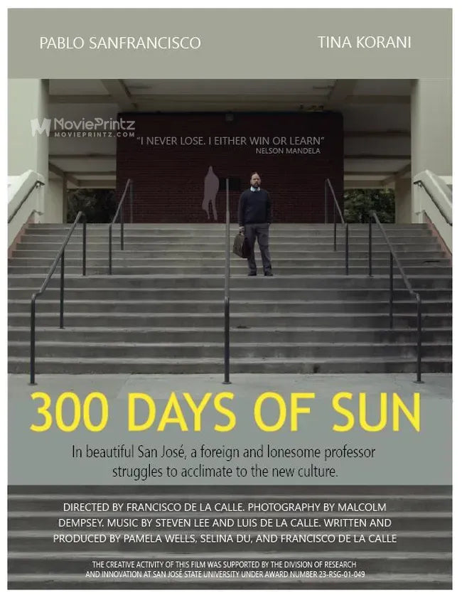 300 Days of Sun Poster