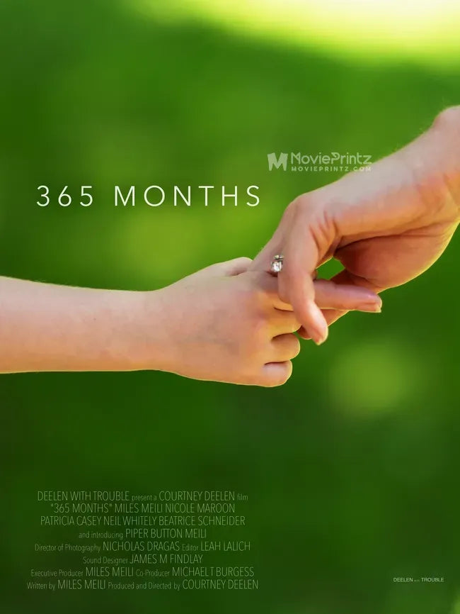 365 Months Poster