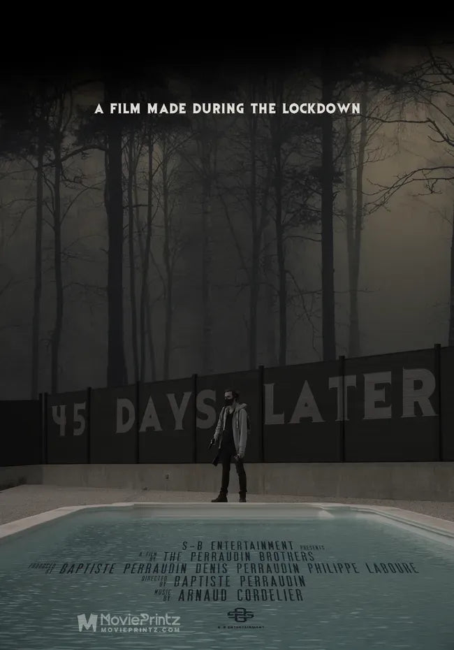 45 Days Later - Official Film Poster