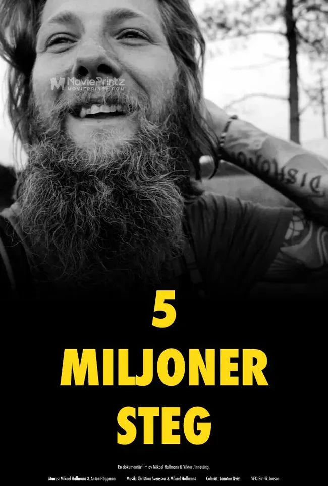 5 miljoner steg Poster