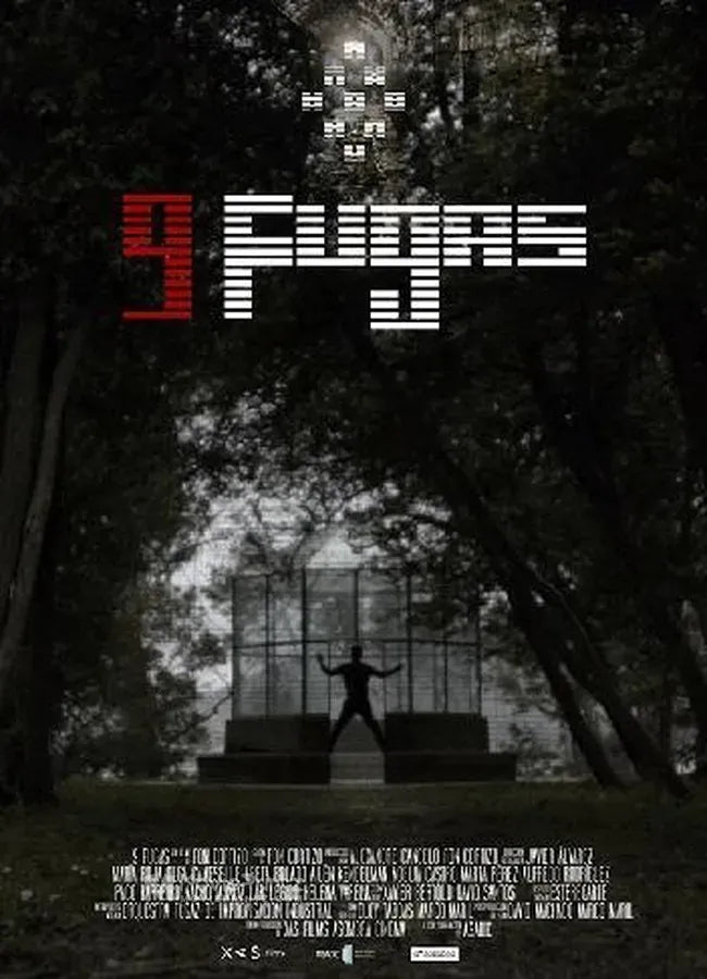 9 fugas Poster