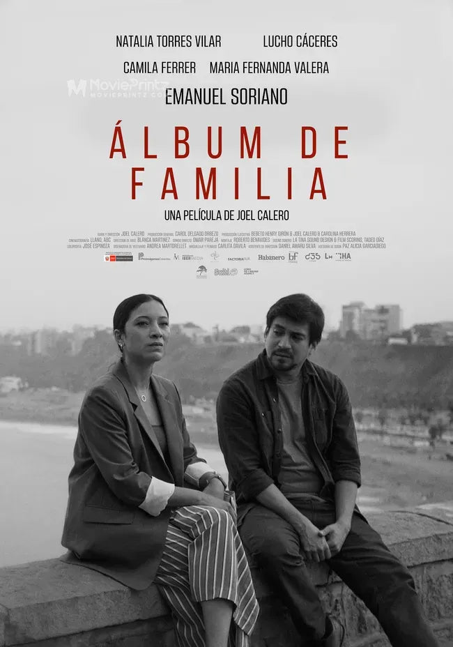 Álbum de Familia Poster