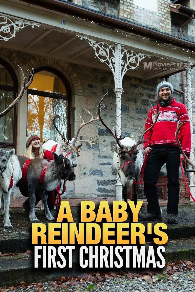 A Baby Reindeer's First Christmas Poster