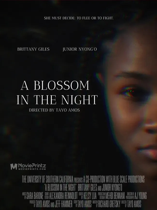 A Blossom in the Night Poster