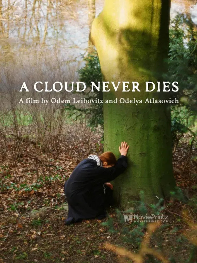 A Cloud Never Dies Poster