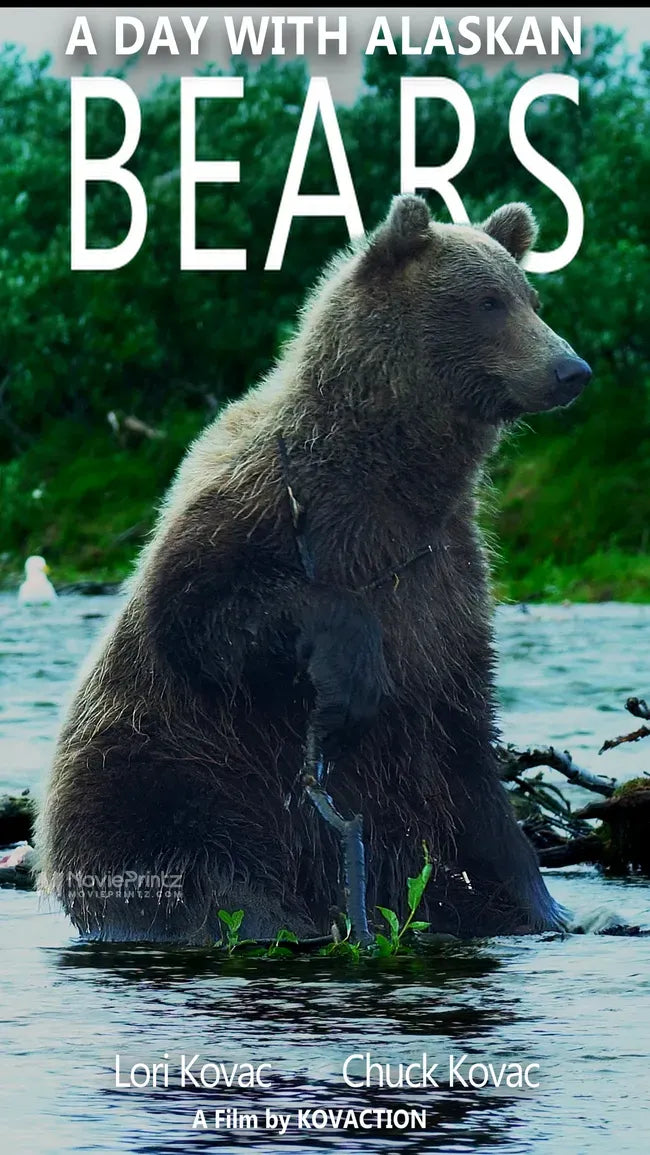 A Day with Alaskan Bears Poster