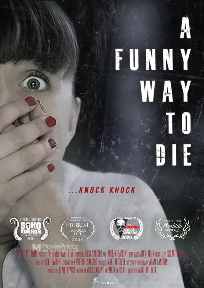 A Funny Way to Die Poster