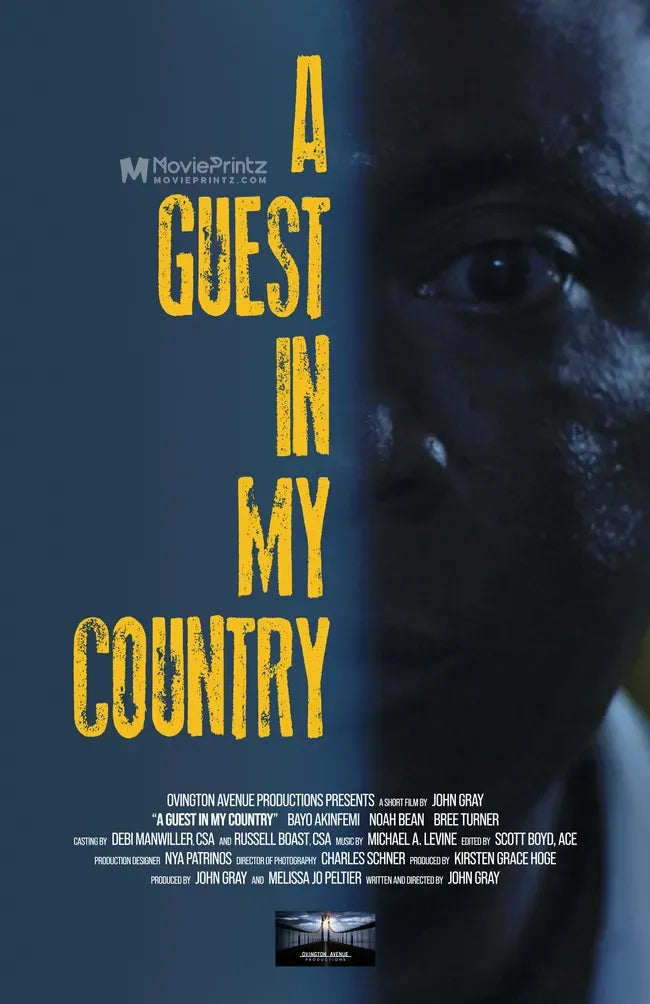 A Guest in My Country Poster