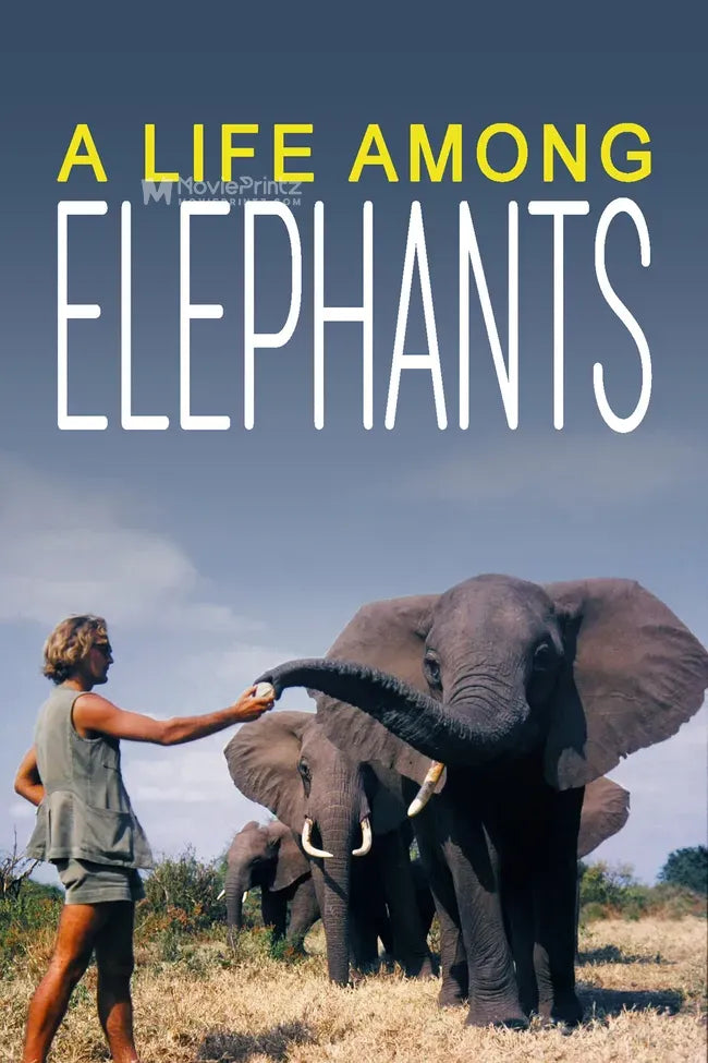 A Life Among Elephants Poster