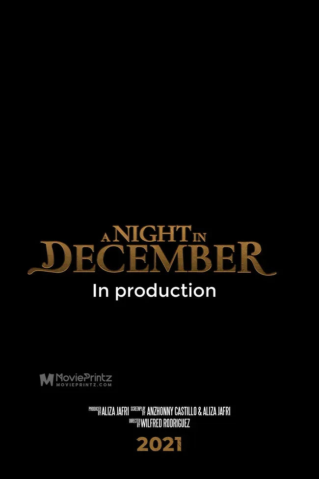 A Night in December Poster