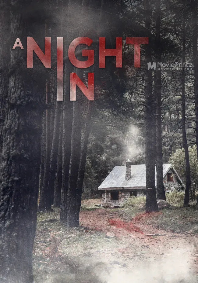 A Night In Poster