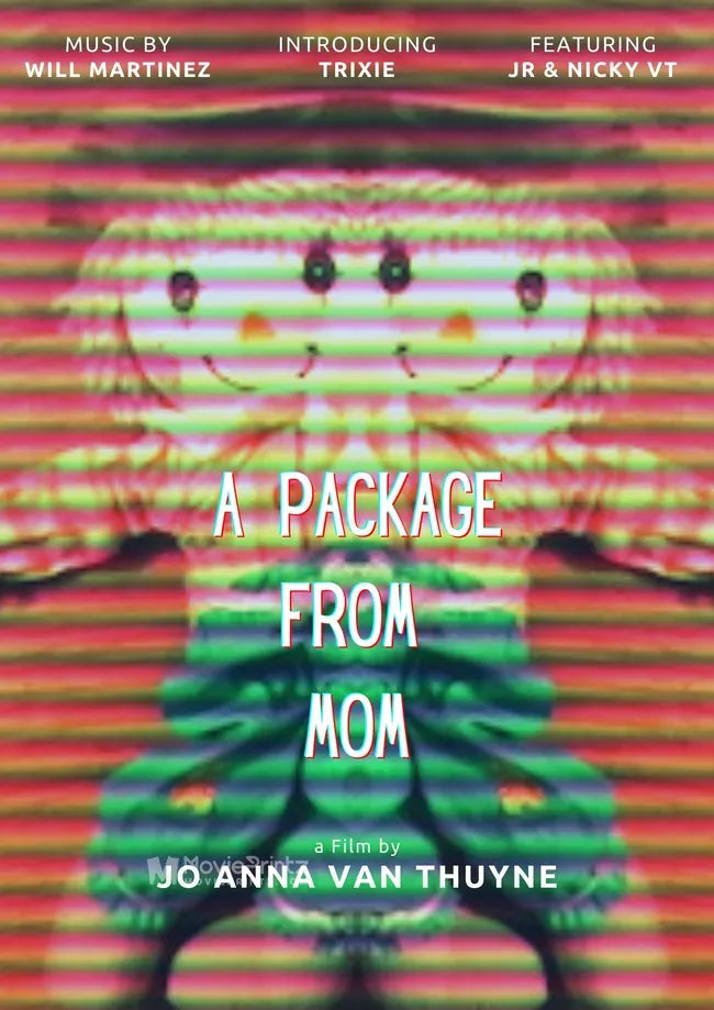 A Package from Mom Poster