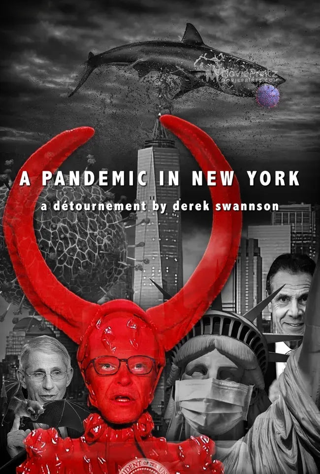 A Pandemic in New York Poster