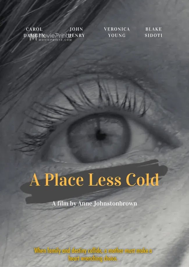 A Place Less Cold Poster