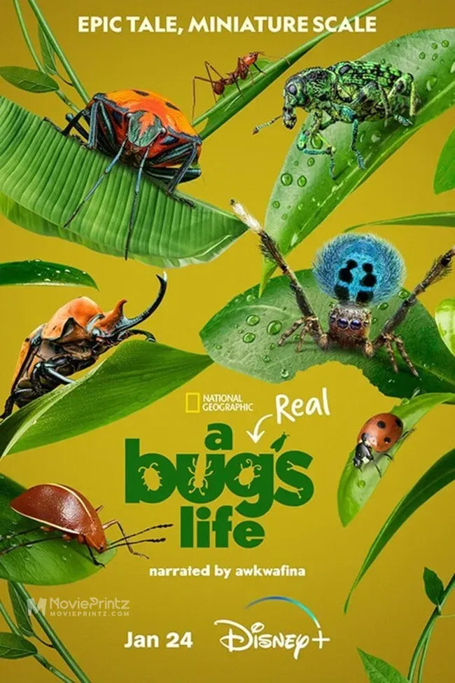 A Real Bug's Life Poster