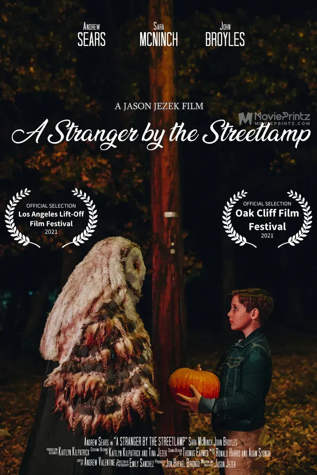 A Stranger by the Streetlamp Poster