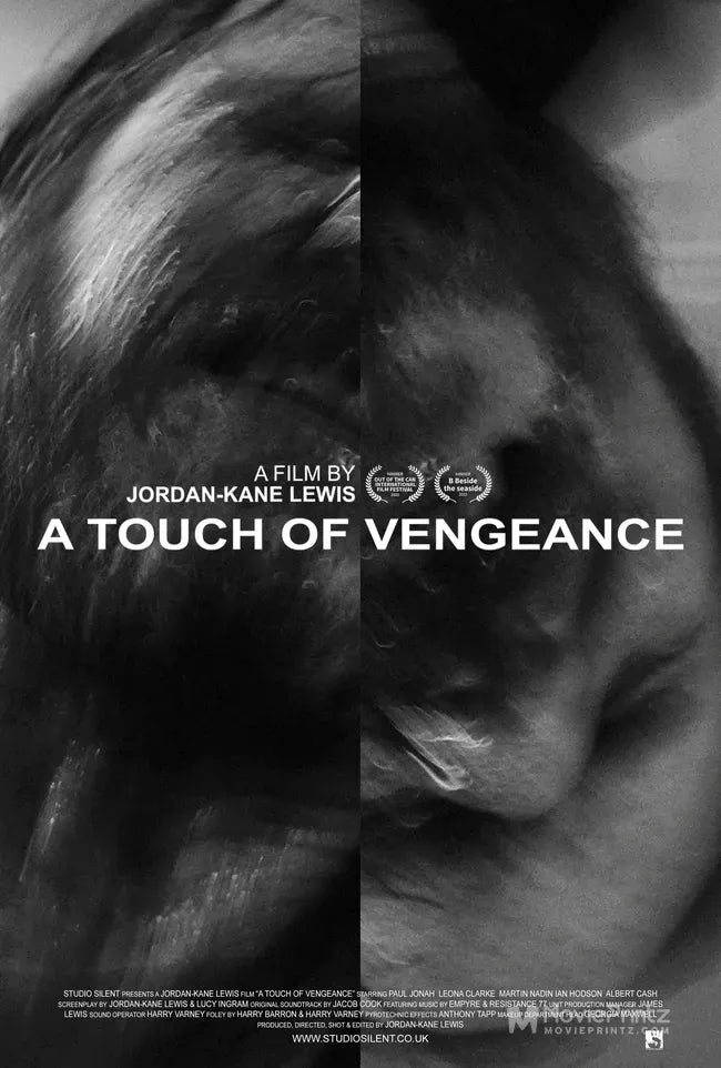 A Touch of Vengeance Poster