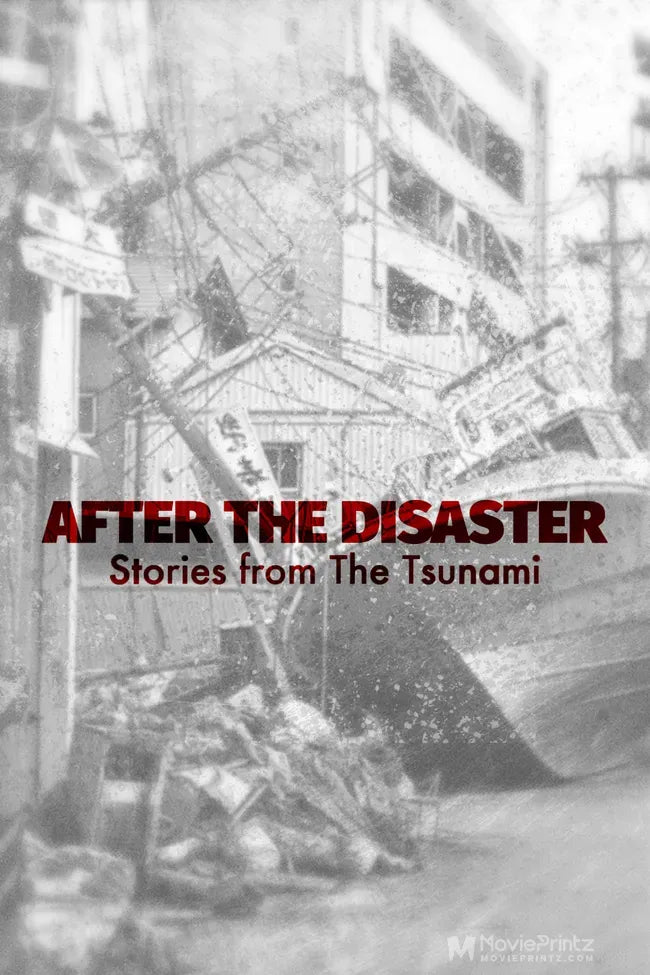 After the Disaster: Stories from the Tsunami Poster