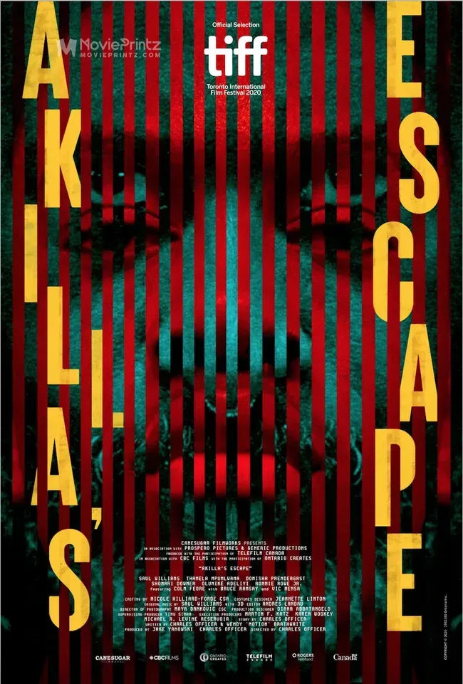 Akilla's Escape Poster