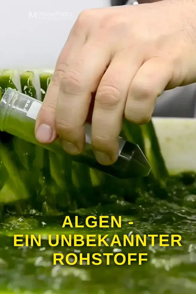 Algen: Ein unbekannter Rohstoff Poster