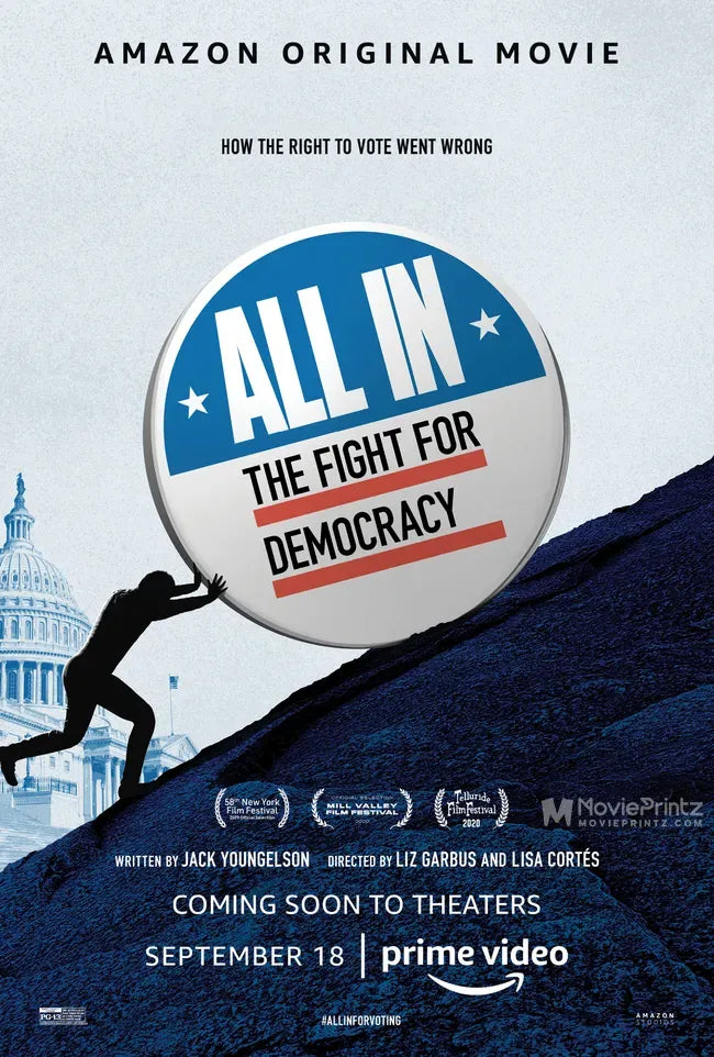 All In: The Fight for Democracy Poster