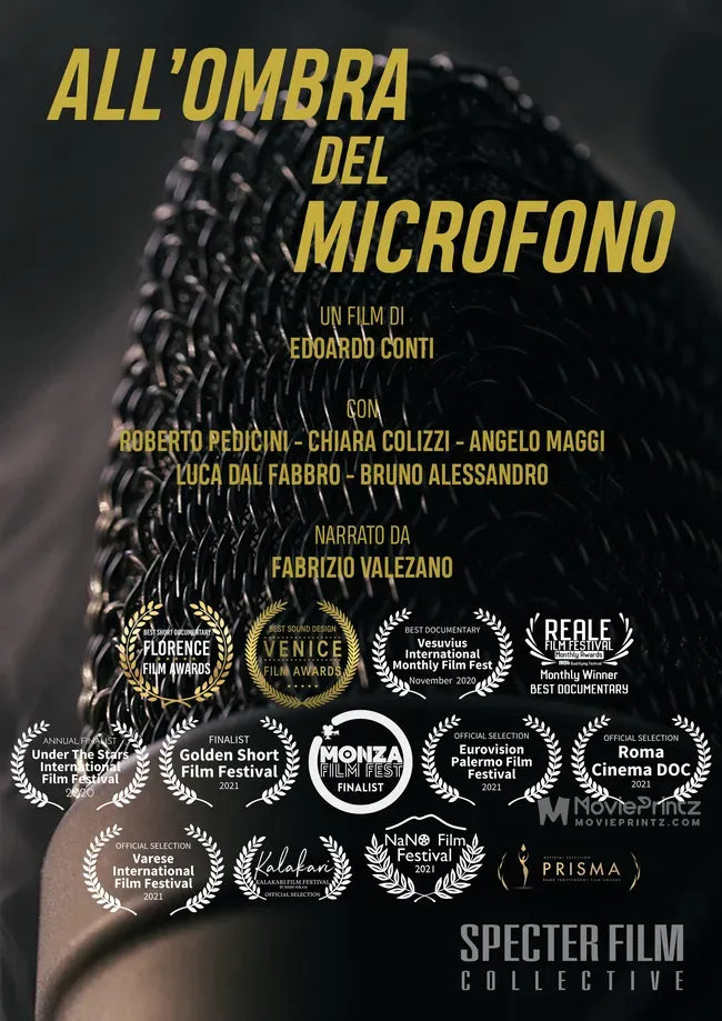 All'ombra del microfono Poster