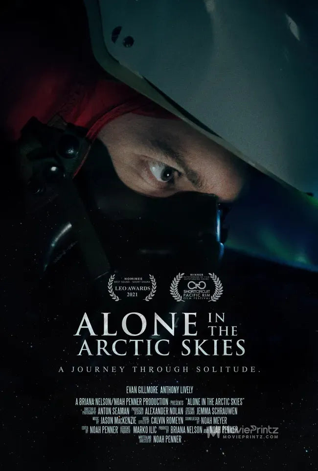 Alone in the Arctic Skies Poster