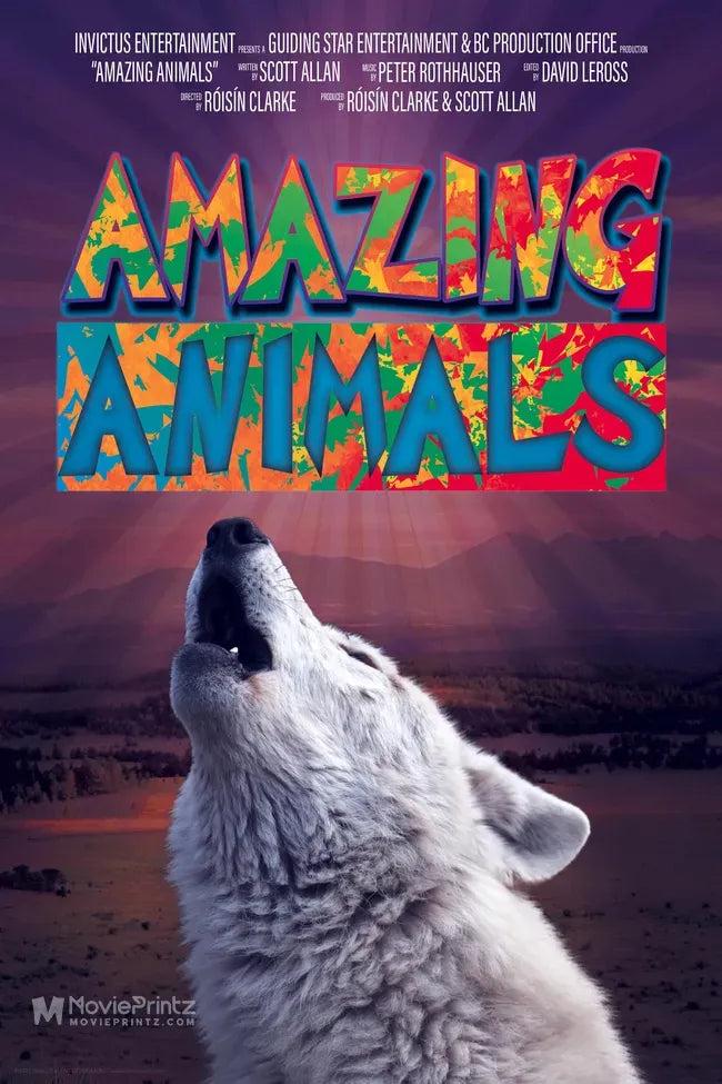 Amazing Animals Poster