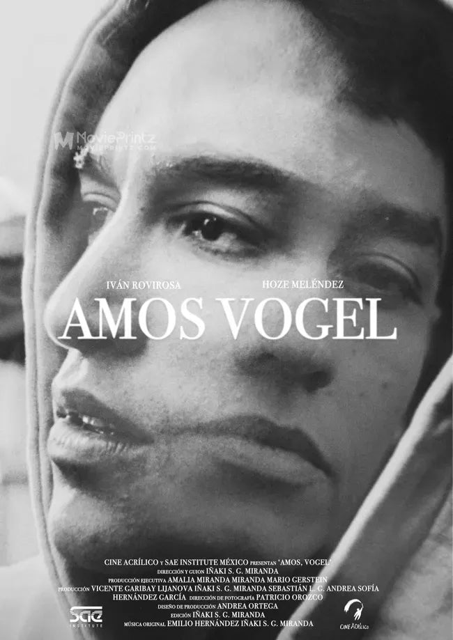 Amos, Vogel Poster