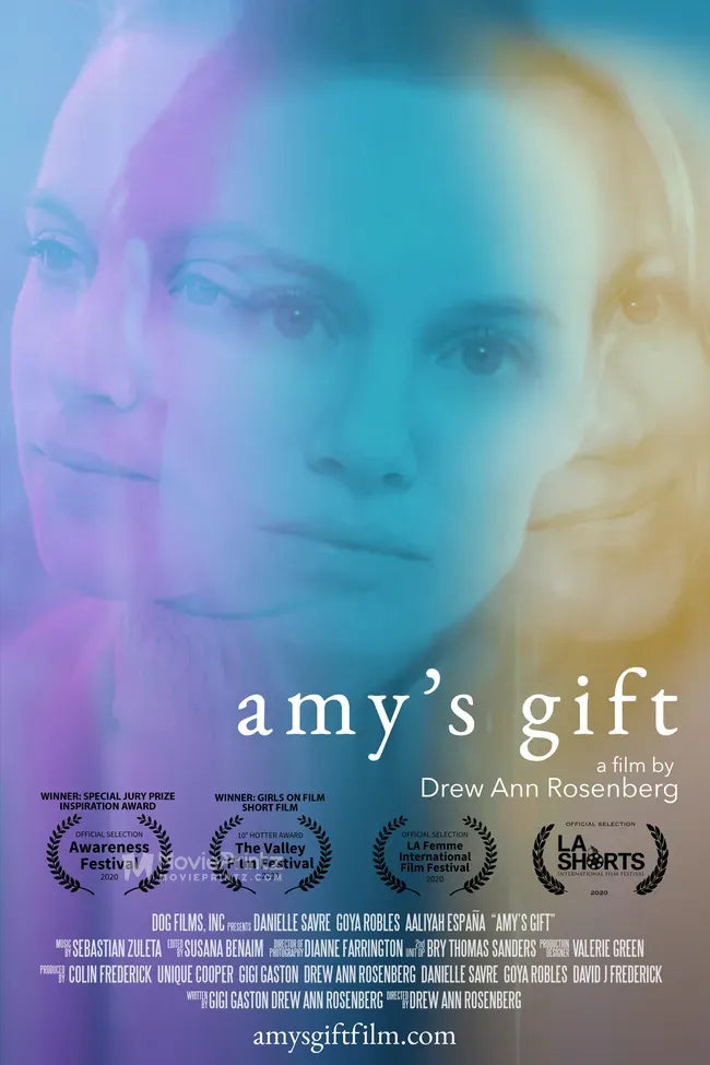 Amy's Gift Poster