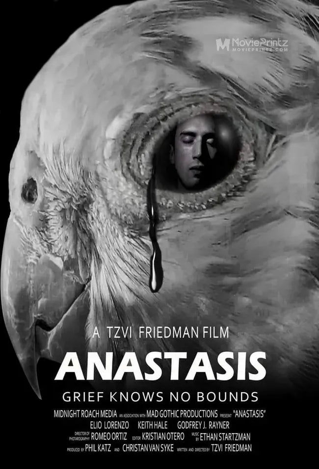 Anastasis Poster