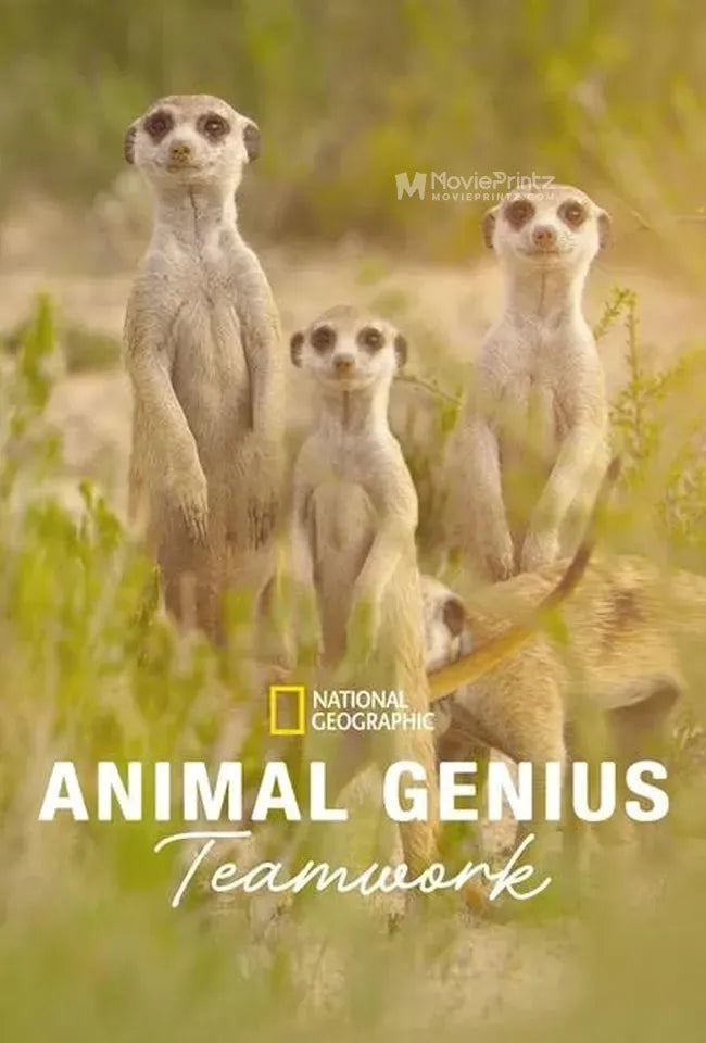 Animal Genius Poster