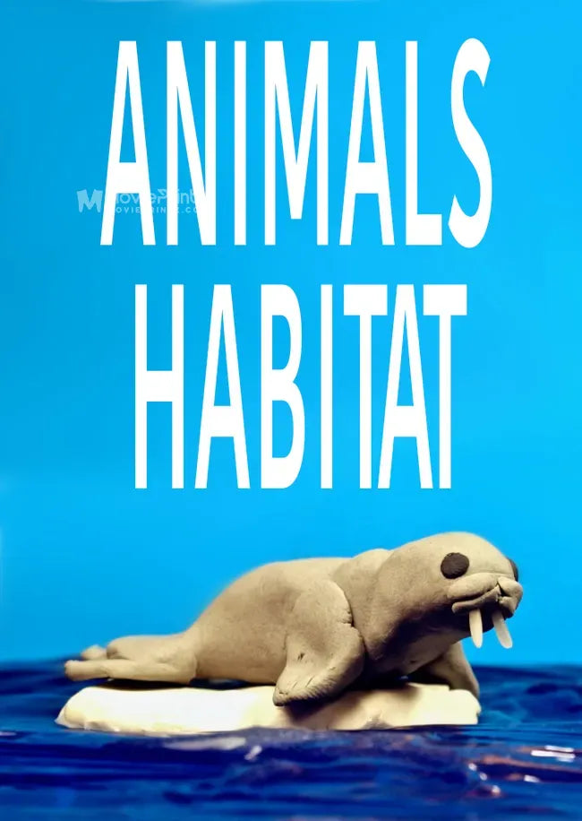 Animals Habitat Poster