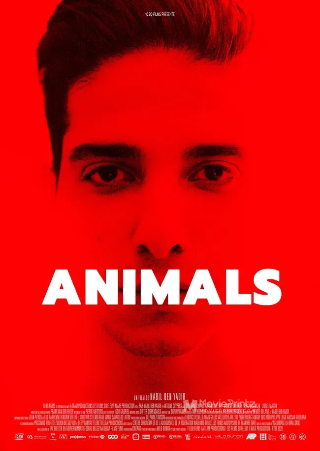 Animals Poster