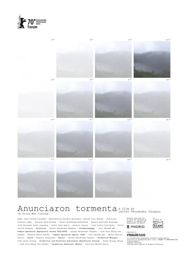 Anunciaron tormenta Poster