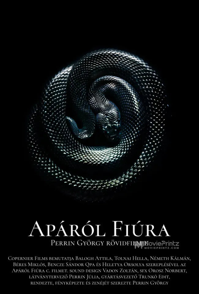 Apáról Fiúra Poster