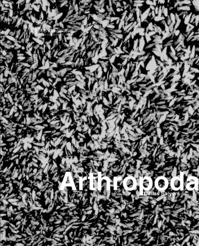 Arthropoda Poster