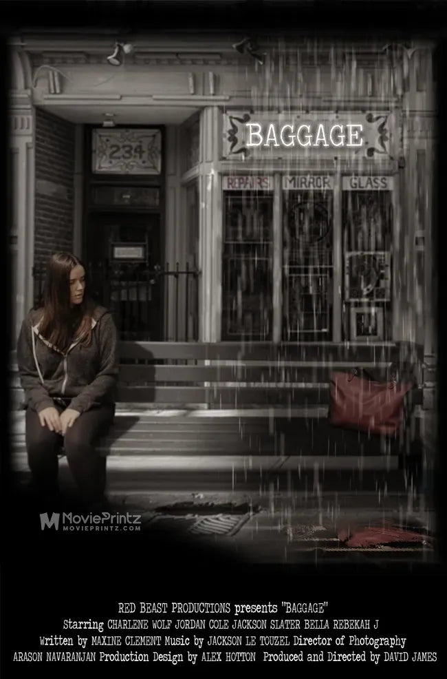 Baggage Poster