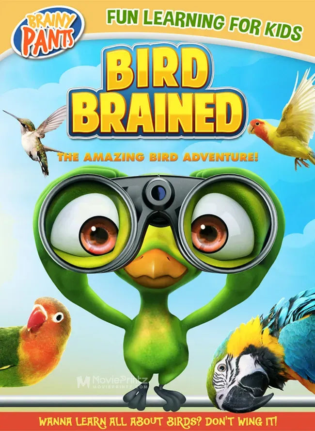 Bird Brained Poster