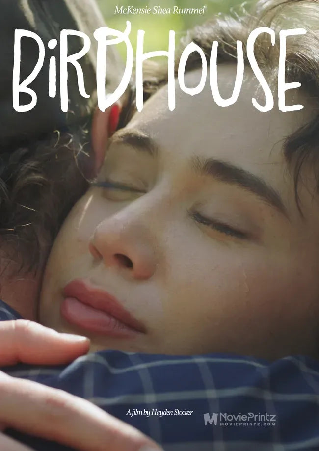 Birdhouse Poster