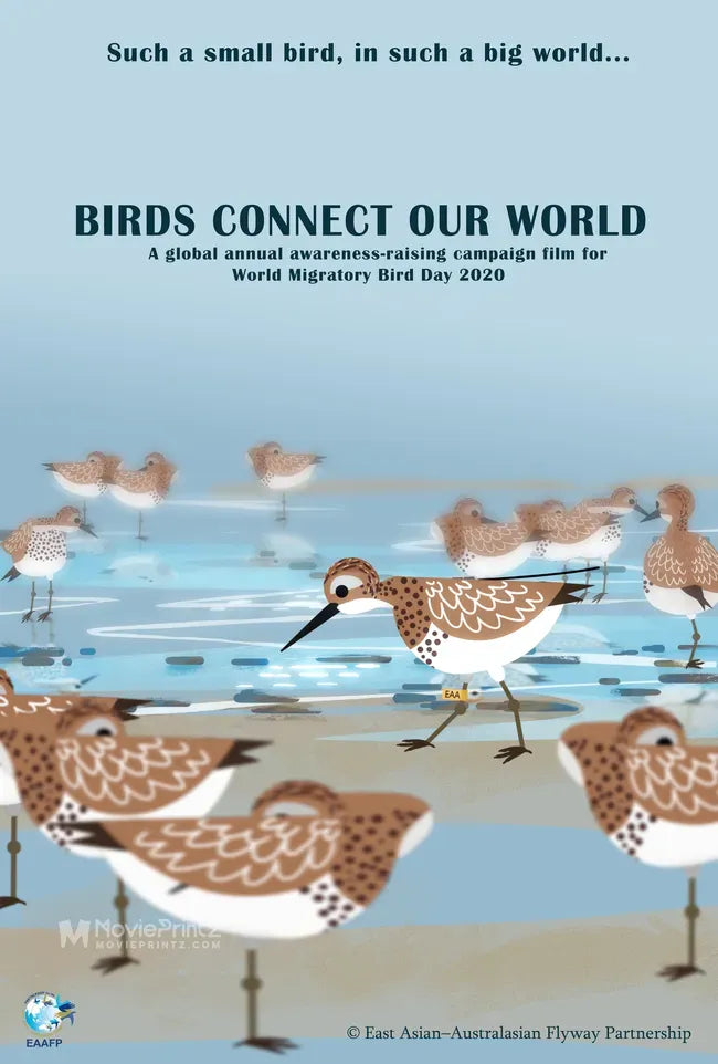 Birds Connect Our World Poster