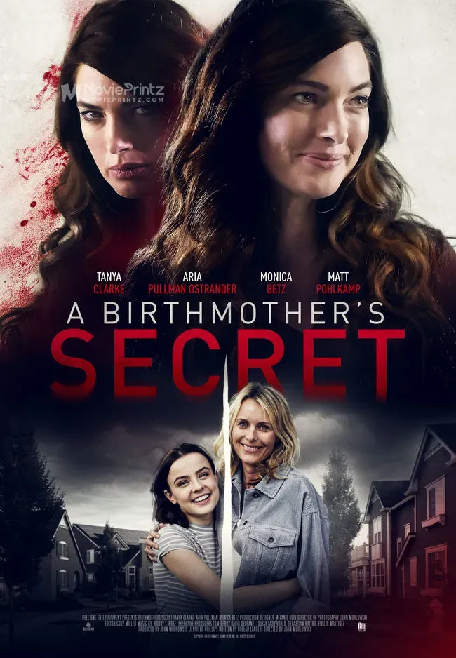 Birthmother's Betrayal Poster