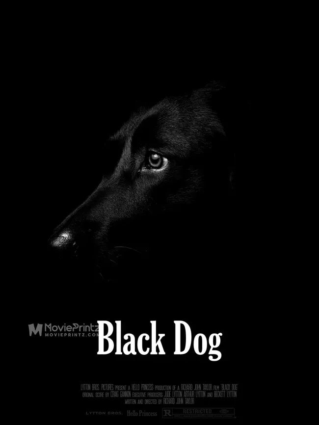 Black Dog Poster