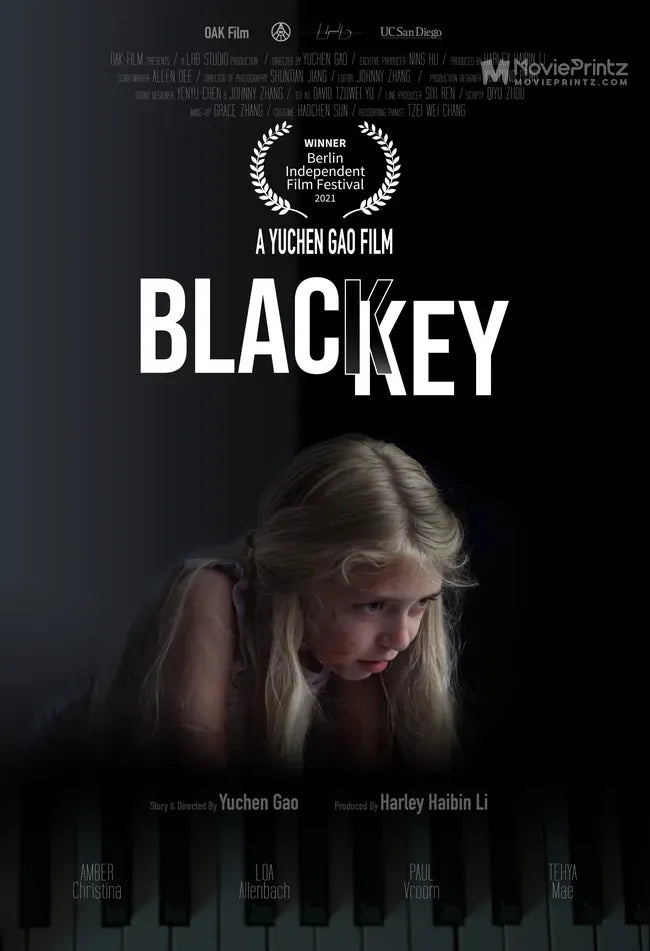 Black Key Poster