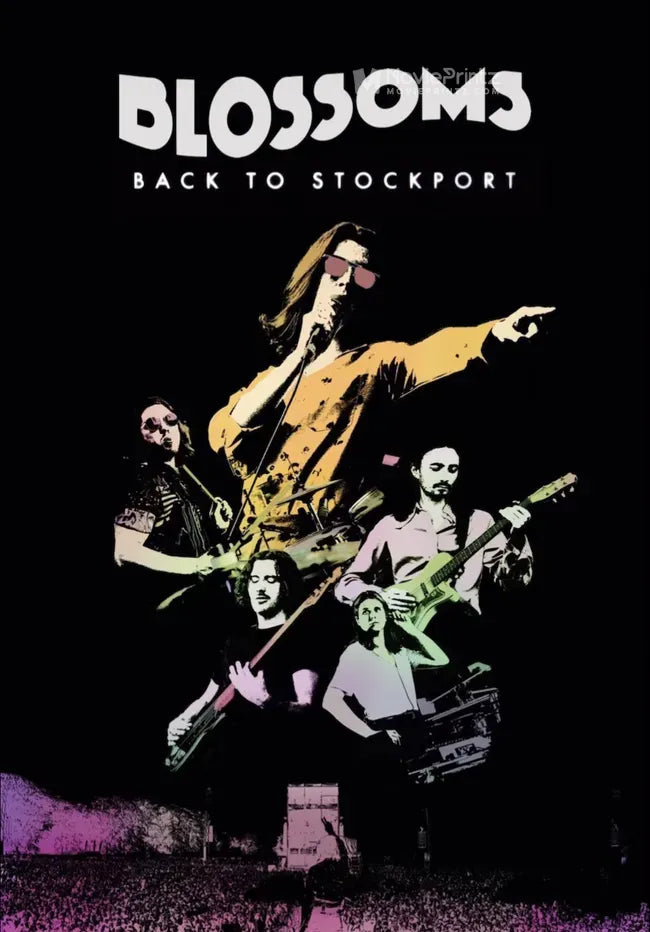 Blossoms: Back to Stockport Poster