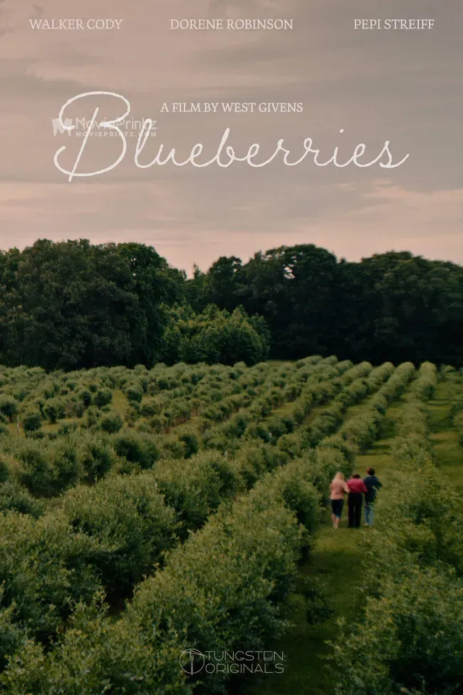 Blueberries Poster